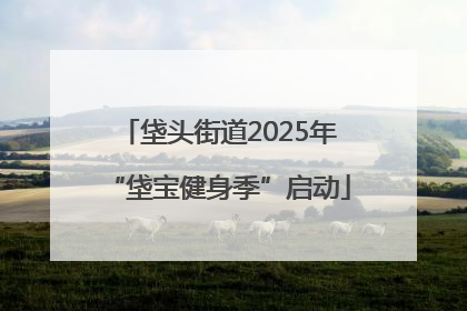 垡头街道2025年“垡宝健身季”启动