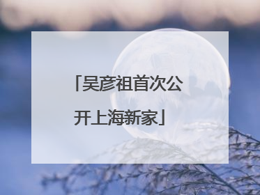 吴彦祖首次公开上海新家