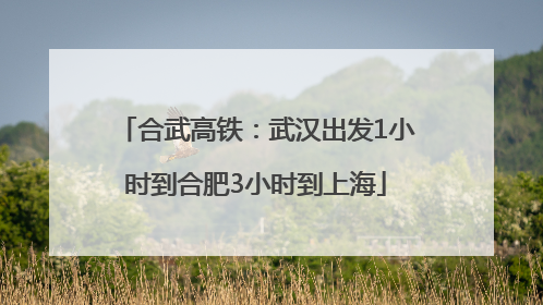 合武高铁：武汉出发1小时到合肥3小时到上海