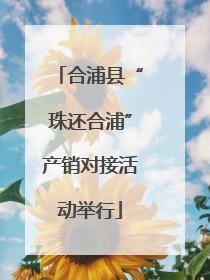 合浦县“珠还合浦”产销对接活动举行
