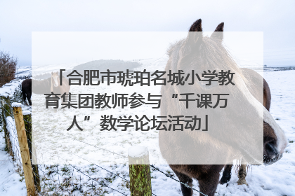 合肥市琥珀名城小学教育集团教师参与“千课万人”数学论坛活动