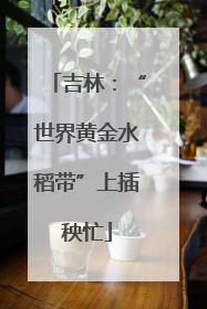 吉林：“世界黄金水稻带”上插秧忙
