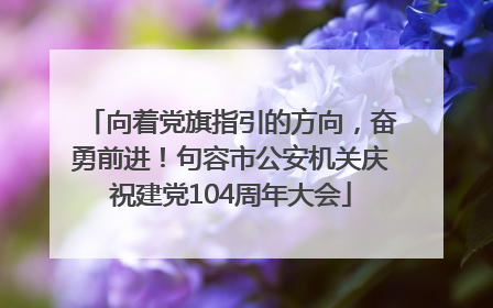 向着党旗指引的方向，奋勇前进！句容市公安机关庆祝建党104周年大会