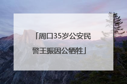 周口35岁公安民警王振因公牺牲