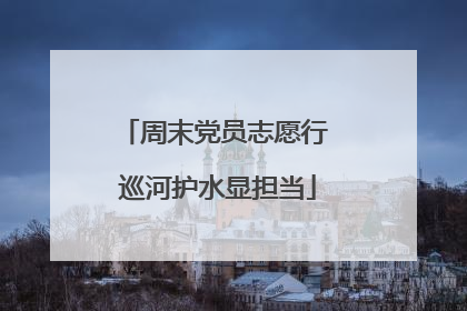 周末党员志愿行 巡河护水显担当