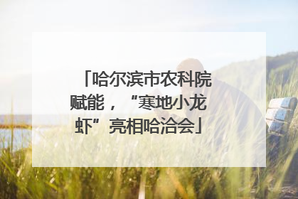 哈尔滨市农科院赋能，“寒地小龙虾”亮相哈洽会