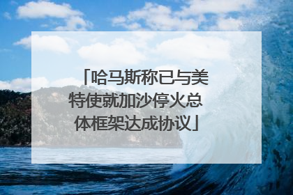 哈马斯称已与美特使就加沙停火总体框架达成协议