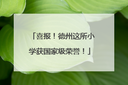 喜报！德州这所小学获国家级荣誉！