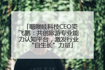 嗯噢哇科技CEO窦飞鹏：共创旅游专业能力认知平台，激发行业“自生长”力量