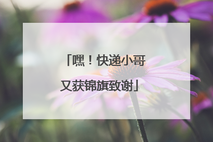 嘿！快递小哥又获锦旗致谢