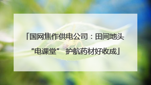 国网焦作供电公司：田间地头“电课堂” 护航药材好收成