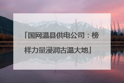 国网温县供电公司：榜样力量浸润古温大地
