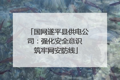 国网遂平县供电公司：强化安全意识 筑牢网安防线