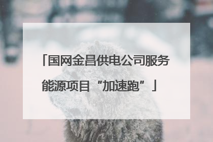 国网金昌供电公司服务能源项目“加速跑”