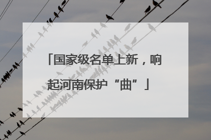 国家级名单上新，响起河南保护“曲”