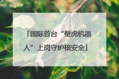 国际首台“壁虎机器人”上岗守护核安全