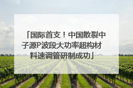 国际首支！中国散裂中子源P波段大功率超构材料速调管研制成功