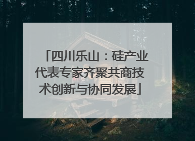 四川乐山：硅产业代表专家齐聚共商技术创新与协同发展