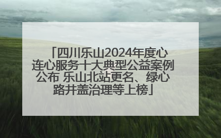四川乐山2024年度心连心服务十大典型公益案例公布 乐山北站更名、绿心路井盖治理等上榜