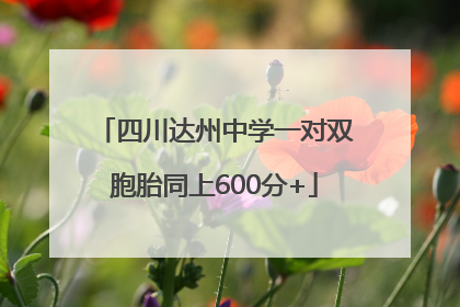 四川达州中学一对双胞胎同上600分+