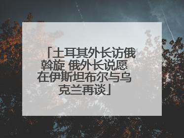 土耳其外长访俄斡旋 俄外长说愿在伊斯坦布尔与乌克兰再谈