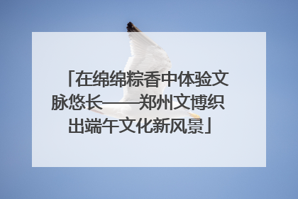 在绵绵粽香中体验文脉悠长——郑州文博织出端午文化新风景