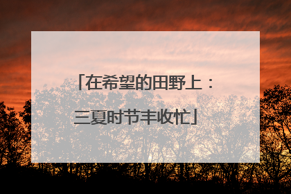 在希望的田野上：三夏时节丰收忙