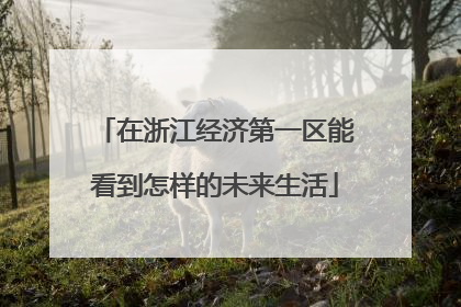 在浙江经济第一区能看到怎样的未来生活