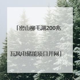 密山柳毛湖200兆瓦风电储能项目并网