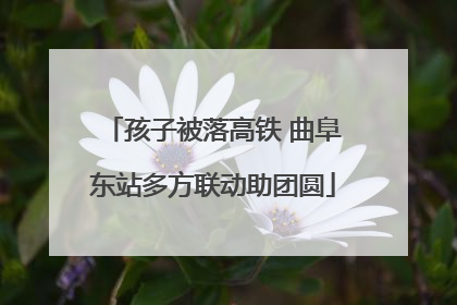 孩子被落高铁 曲阜东站多方联动助团圆