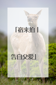 宿来拍丨告白父爱