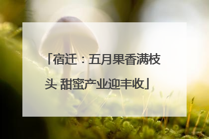 宿迁：五月果香满枝头 甜蜜产业迎丰收