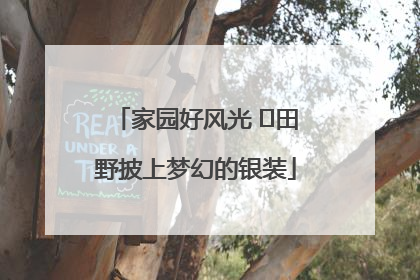 家园好风光 ⎮田野披上梦幻的银装