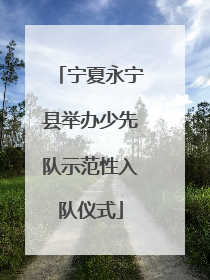 宁夏永宁县举办少先队示范性入队仪式