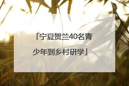 宁夏贺兰40名青少年到乡村研学