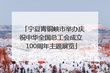 宁夏青铜峡市举办庆祝中华全国总工会成立100周年主题展览