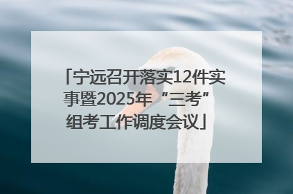 宁远召开落实12件实事暨2025年“三考”组考工作调度会议