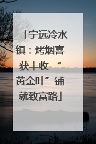 宁远冷水镇：烤烟喜获丰收 “黄金叶”铺就致富路