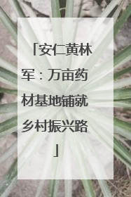 安仁黄林军：万亩药材基地铺就乡村振兴路