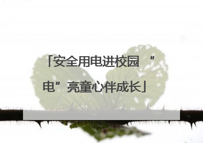 安全用电进校园 “电”亮童心伴成长
