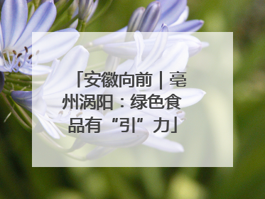 安徽向前｜亳州涡阳：绿色食品有“引”力