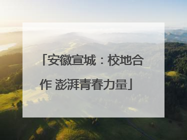 安徽宣城：校地合作 澎湃青春力量