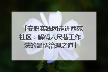 安职实践团走进西苑社区：解码六尺巷工作法的温情治理之道