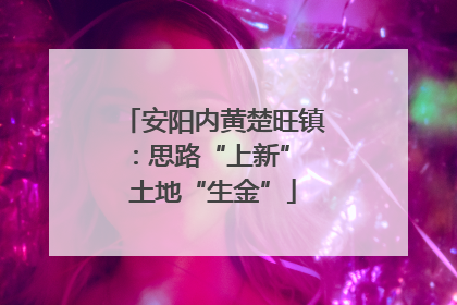 安阳内黄楚旺镇：思路“上新” 土地“生金”