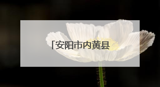 安阳市内黄县豆公镇：“三夏”生产有实招