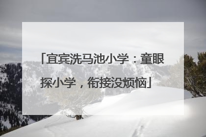 宜宾洗马池小学：童眼探小学，衔接没烦恼