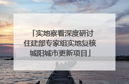 实地察看深度研讨 住建部专家组实地复核城阳城市更新项目