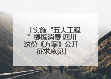 实施“五大工程”提振消费 四川这份《方案》公开征求意见