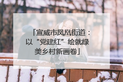宣威市凤凰街道：以“党建红”绘就绿美乡村新画卷