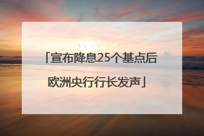 宣布降息25个基点后 欧洲央行行长发声